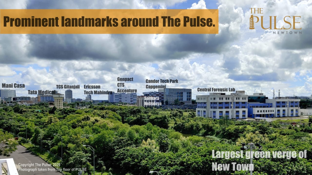 Landmarks_Pulse_NewTown